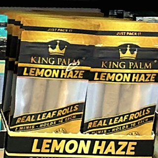 King Palm Lemon Haze Real Leaf Rolls on the shelf at Glen Smoke Shop