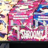 Guaranteed Shroomz Amanita Muscaria on the shelf at Glen Smoke Shop